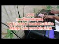 Lagu medley viral isyfa Lana x asalamualaika Maher Zain + Link merduh