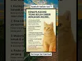 Download Lagu apakahbkalian tau? #amazing #katahatimotivasi