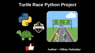 Turtle Race Python Project Complete Guide