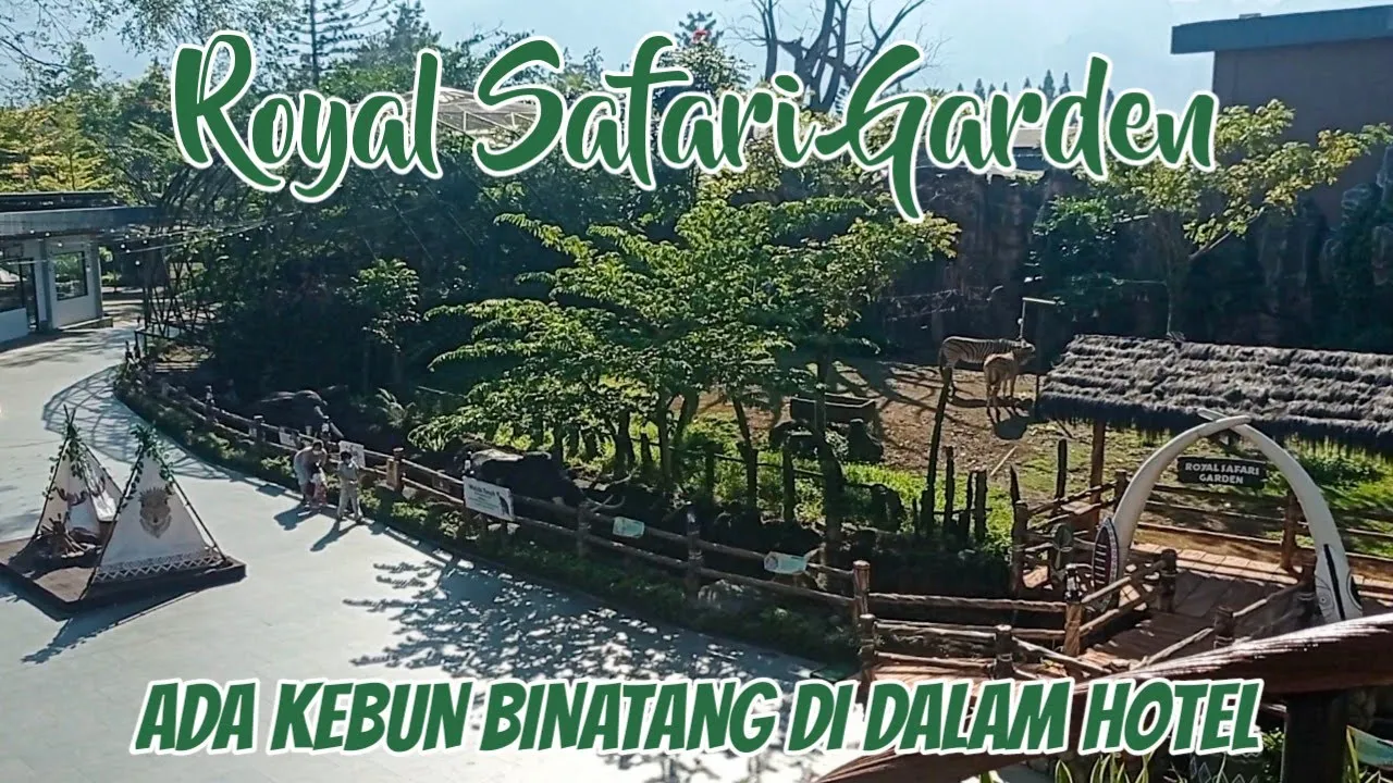 TAMAN SAFARI BOGOR TERKINI 2021 || Wisata Cisarua Puncak Bogor