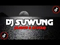 Download Lagu DJ Suwung Heyek Crew (Slowed \u0026 Reverb)