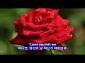 Download Lagu Just When I Needed You Most - Randy Van Warmer: with Lyrics(영어가사/한글번역)