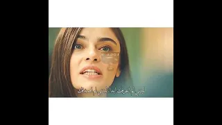 حالات واتس اب تخيل شجرة بيها اوراق 