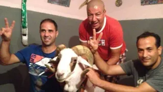 عاطف ولد علجية البوكمامة بطل تونس 