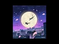 스키니브라운 (Skinny Brown) - Moonlight Melody (Feat. 김승민)
