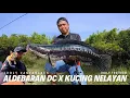 Lagu Shimano Aldebaran DC 31HG x Iroly VS Toman Goblin Air Merah ‼️