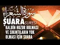 Download Lagu Şuara Suresi | Kalbin Huzur Bulsun, Sıkıntıların Yok Olsun | Ali Turan