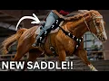 MY NEW LIGHTWEIGHT SADDLE Master Saddles Unboxing