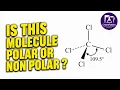 Is CH3Cl Chloromethane a polar or a non-polar molecule