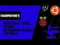 Minecraft Forge Server On Ubuntu Server Headless Part 1 - Rizz s Tech Tutorials