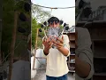 Download Lagu Kabootar Ki Video 🕊️😍👍 #pigeon #shorts