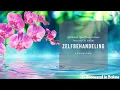 Lagu Reiki zelfbehandeling | 15 posities | 4 minuten timer | Nederlands