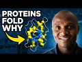 Nonpolar vs Polar Amino Acids Why Your Proteins Fold This Way