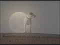 NIGHT TRAIN Yelo (in the Namib with Rufis, who loved trains)