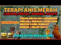 Download Lagu 🔴 TERAPI ANIS MERAH DONGKRAK BIRAHI \u0026 EMOSI [UNTUK TROTOL, PASTOL, PASCA MABUNG \u0026 ANIS MERAH MACET]