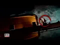 Watch the Terrifying Moment Man Clings to Cruise Ship Before Jumping in Ocean
