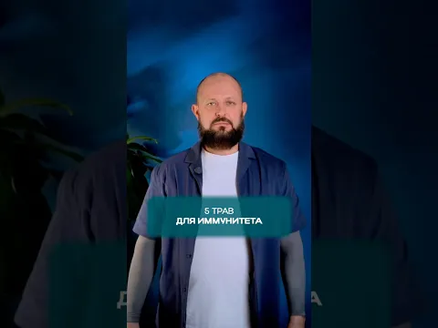5 растений для поддержки  организма и иммунитета!