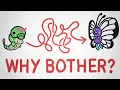 Why Do Butterflies Bother Being Caterpillars