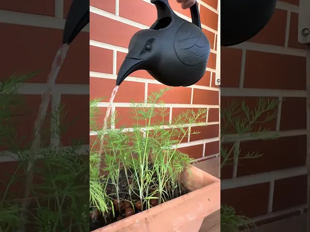 Raven Watering Can – Gothic Bird-Shaped Watering Can for Plants, Garden Decor video thumbnail