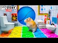 The World s Largest Hamster Prison Maze Homura Ham