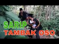 Lagu SARIP TAMBAK OSO