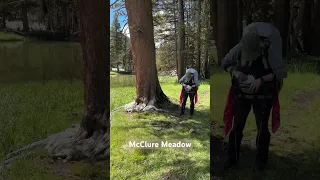 McClure Meadow on the JMT #hiking #hikingtrail #adventure #backpacking #johnmuirtrail #nature ￼