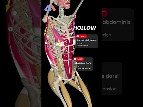 Master the Kipping Movement: Arch to Hollow!