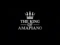Kabza De Small - Siyabonga(Official Audio) feat. Nontokozo Mkhize& Mthunzi
