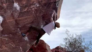 Progressive Guy V10