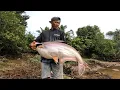 Download Lagu Mancing liar !! Terciduk nya ikan berumur puluhan tahun penghuni lubuk sungai patin