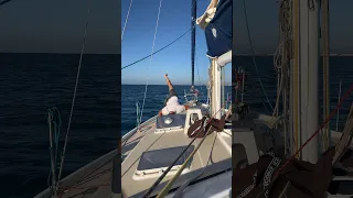 « La routine matinale » sur Coraille II 😆⛵️…#voilier #corailleenvoyage #boatlife