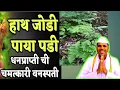 Download Lagu हाथ जोडी पाय पडी धनप्राप्ती करून देणारी वनस्पती तसेच औषधी फायदेही खुप आहेत.