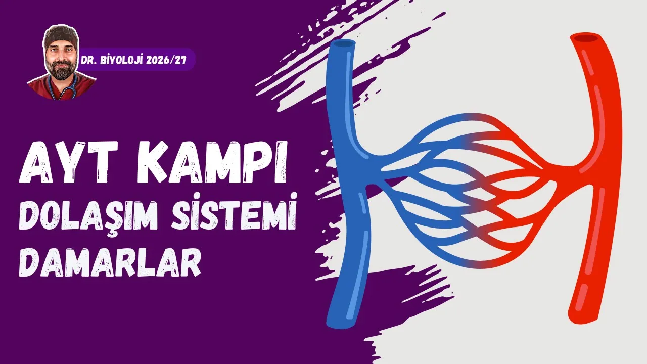 Dolaşım Sistemi Damarlar ve Starling | Dr. Biyoloji | AYT Dönem 2026 - 2027