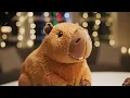 Cumpleaños Feliz! 🎂Its so cute #capybara #capibara #happybirthday