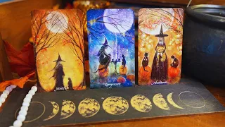 Pick a Witch 🧙 Your Cozy Week Ahead Tarot Forecast 🌕 Full Moon Vibes ✨ 