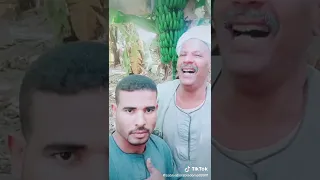 ابو مظهر موال الاصيل لما اتعزر راح للردى فى الدوم 