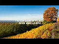 Lyanno, Rauw Alejandro - LA NENA (Letra/Lyrics)