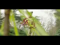Falz - Next (Official Video) ft. Maleek Berry, MEDIKAL
