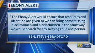 Ebony Alert system proposed in California to help find missing Black young adults and adolescents