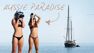 Face-to-Face with the Biggest Shark in the Ocean 😱🦈