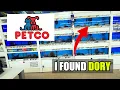 PETCO Store Tour in Eatontown NJ