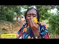 Download Lagu 😲 Mango Madness 🇯🇲