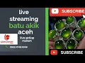 Download Lagu live batu akik giok Permata batu cincin #live #livestreaming #streaming