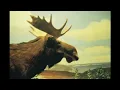 Phantom - Of Monsters and Men (with lyrics)