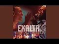 Download Lagu 40 Graus De Amor (Ao Vivo)