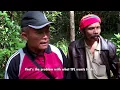 Download Lagu The Last Stand: Saving the Padumaan Forest of Northern Sumatra