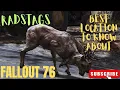 Fallout 76 Where To Find RadStags Best Location