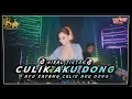 Download Lagu DJ JUNGLE DUTCH AYO SAYANG CULIK AKU DONG - REMIX TERBARU 2024  @DjVakeOfficial