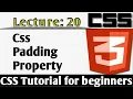 Css Padding Lecture 20 Css tutorial for beginners in