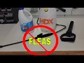 HOW TO GET RID OF FLEAS FOR GOOD FINALLY THE ANSWER